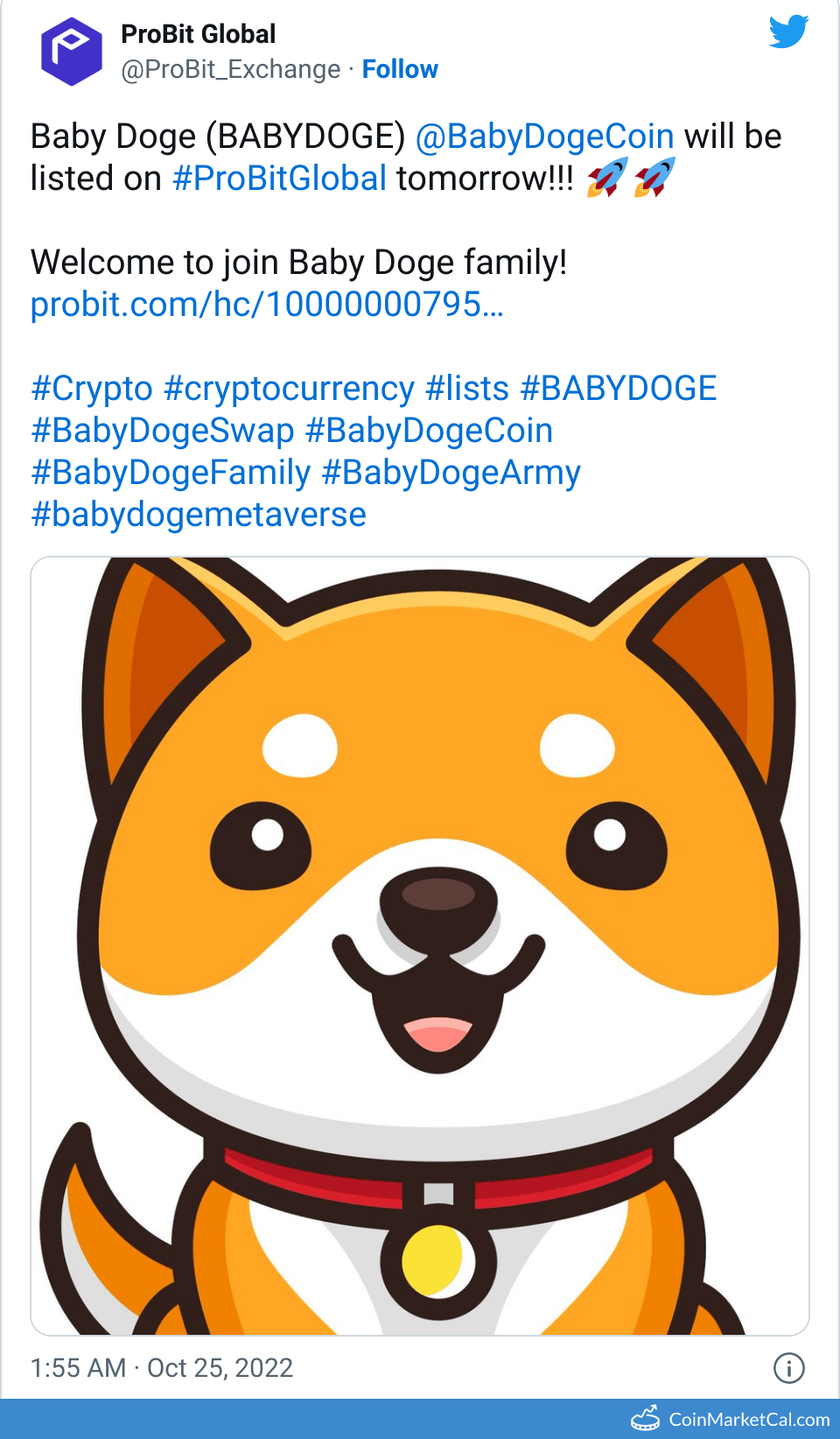 BABYDOGE Baby Doge Coin Price Today, Live Coin Chart & USD/USDT Rates |  DropsTab