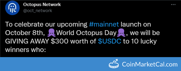 Oct network. Oct network