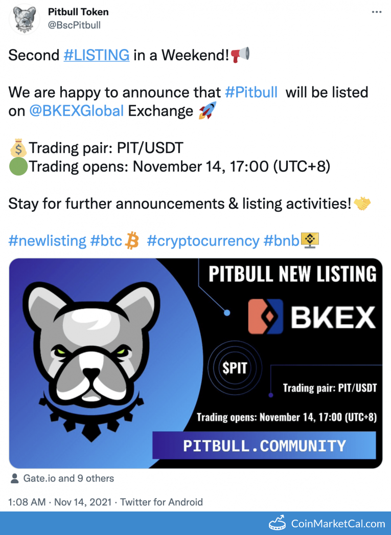 PIT Pitbull Price Today, Live Coin Chart & USD/USDT Rates | DropsTab